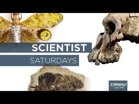 Scientist Saturday - Dr. Nicole Burt