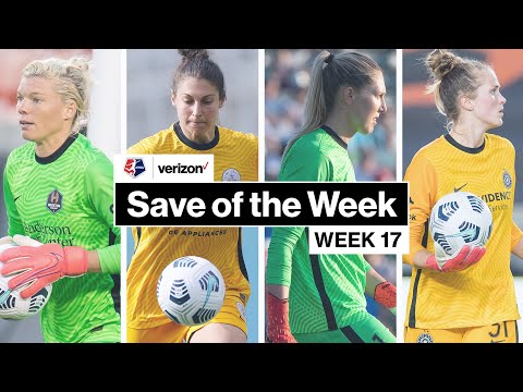 Verizon Save of the Week Nominees | Week 17