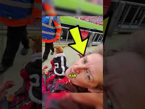 هذا المشجع ساعد فريقه على تسجيل هدف