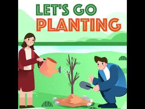 How to Plant a tree? Tree Plantation by Kids