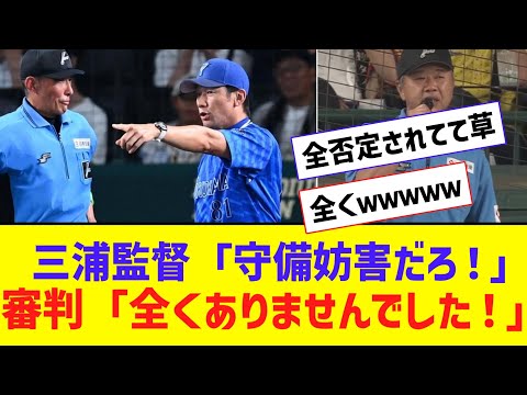 審判「“全く”守備妨害ではありませんでした！！！！！！！！！」【なんJ反応】