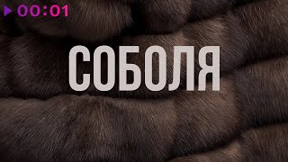 Сола Монова — Соболя | Official Audio | 2024