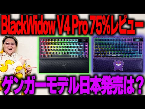 【ディスプレイ搭載】最初から改造されてる静音キーボードの強化版【 BlackWidow V4 Pro 75％ レビュー】