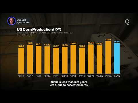 Could El Niño Spark a Global Grain Supply Crunch? | Presented by CME Group