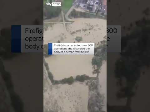 Dogs rescued from Italian flood