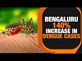 Bengaluru Battling Surge in Dengue Cases Amid Monsoon | News9