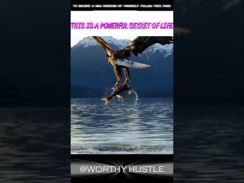 BE YOUR BEST VERSION IN 6 MONTHS #cricket #upscmotvation #quotes #motivation #emotionalstruggle