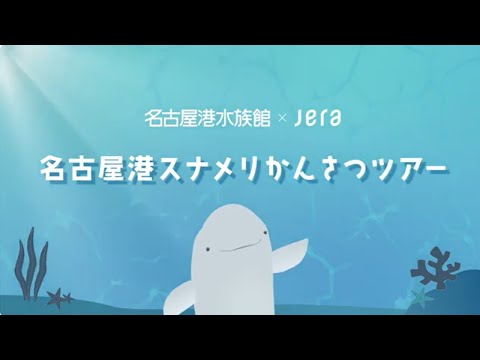 猫の動画サムネイル - 2025年スナメリかんさつツアー