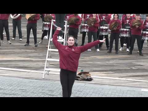 Pier 16 Performance