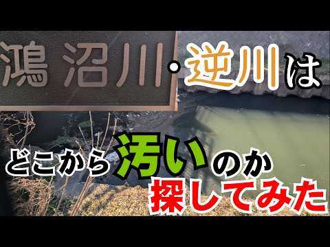 【二本立て】鴻沼川(鴻沼排水路)･逆川はどこから汚いのか探してみた