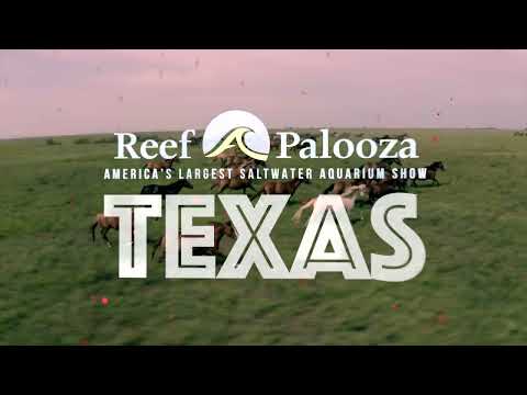 Reef-A-Palooza Texas 2022 Teaser For the very first time, America's Largest Saltwater Aquarium Show Reef-A-Palooza is coming to Dalla