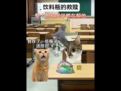猫の動画サムネイル - 离谱的规定背后都有一个离谱的故事#有趣 #猫meme #猫meme剧场 #猫meme小剧场 #内容过于真实  #故事 #貓 #猫猫meme小剧场 #喵不可言