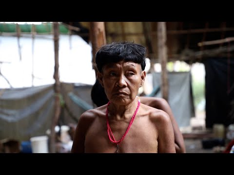 Yanomami - 1 ano de emergência humanitária | Caminhos da Reportagem