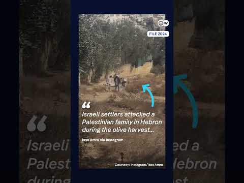 Israeli settlers violently attack home of prominent Palestinian activist in the West Bank | DW News