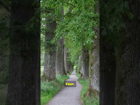 Calm Your Mind in 60 Seconds 5 Soothing Tips #calm #anxiety #anxietyrelief #mentalhealth