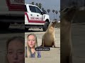 Why this ‘demonic’ sea lion attacked a surfer  - 02:04 min - News - Video