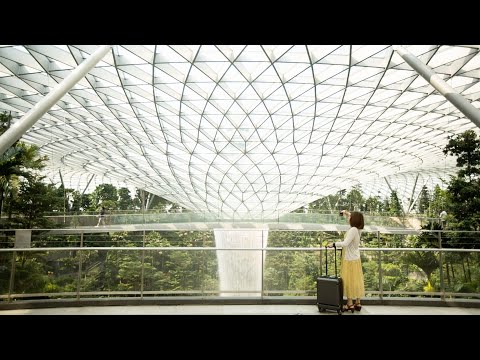 Video offers glimpse inside Safdie Architects' Jewel Changi Airport