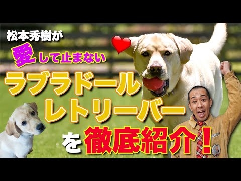 松本秀樹のいぬtuber的最新影片 日本youtube排名