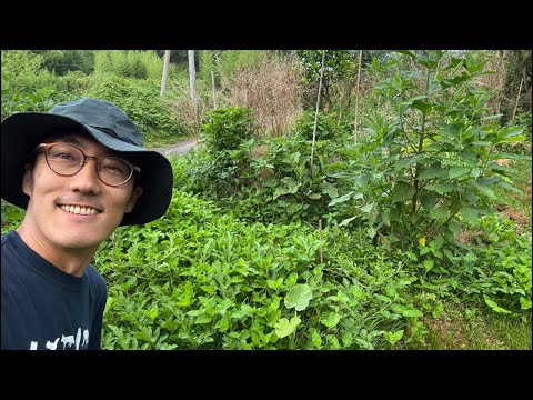 貝塚農法をやってみようと思う