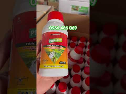 Protox, công hơi cực mạnh, đuổi chuột cực tốt, đục thân chích hút không còn.