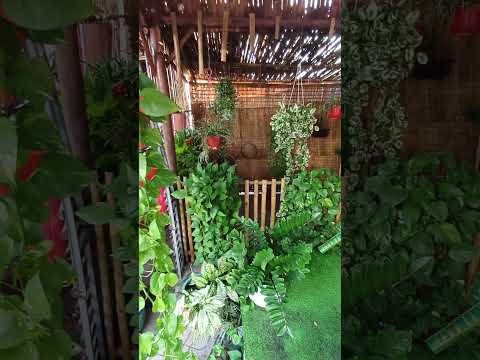 chùa linh nguyên , #vongtayphongthuygiakhiem #phongthuy #travel