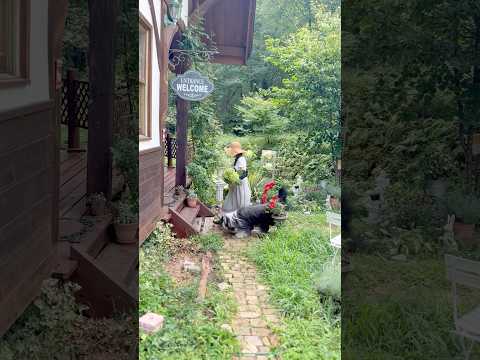 「ハイランジアとアナベルの夏剪定✂️森の暮らしと手しごとルーティン | 癒しVlog #shorts ‐wanlife‐ 🐶🌳」