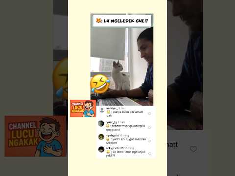 Tonton Sampai Habis🤣 | 🐱: Apelu⁉️ Mau gua Mandiin juga‼️ #shorts #kucinglucu