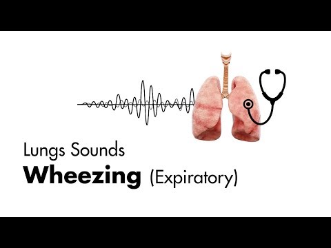 Upload mp3 to YouTube and audio cutter for Wheezing (expiratory) - Lung Sounds - MEDZCOOL download from Youtube