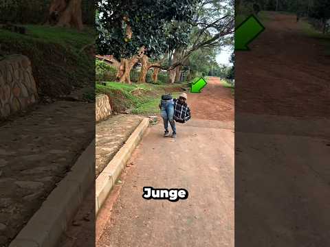 Das lustige Geheimnis des Jungen 🤫