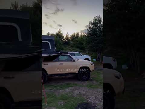 30 октября 2025 г.