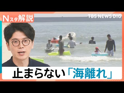 経済金融の動画サムネイル - 暑さで“外出キャンセル”続々…止まらない「海離れ」にカブトムシ離れ　変わる日本の夏【Nスタ解説】｜TBS NEWS DIG