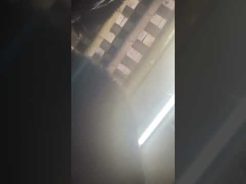 ngày 10 tháng 10, 2025