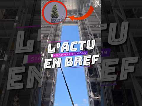Pourquoi un simple SAPIN est si important pour la Starbase ?