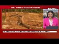 Supreme Court Of India | 400 Trees Axed In Ridge, SC Starts Contempt Case Against DDA Official  - 12:22 min - News - Video