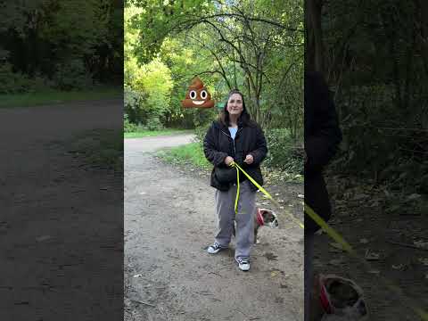 On a passé la matinée avec une promeneuse de chiens #dog #dogwalker #paris