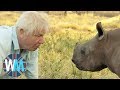 David Attenborough Moments