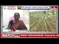 కర్నూలు జిల్లాలో రైతులకు అందని సబ్సిడీ విత్తనాలు | Subsidy Seeds | Kurnool district | hmtv  - 07:52 min - News - Video