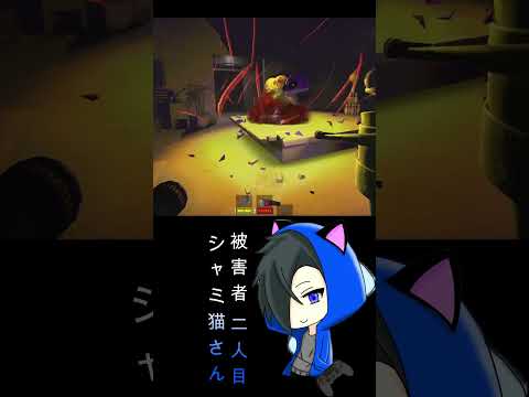 thumbnail_T5fCD9DDtWY