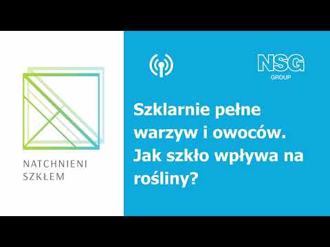 Natchnieni szkłem: Szklarnie pełne warzyw i owoców. Jak szkło wpływa na rośliny?