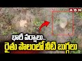 భారీ వర్షాలు..రైతు పొలంలో నీటి బుగ్గలు | Heavy Rains In Nagar Kurnool | Jekinalapally | ABN Telugu