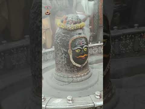 महाकाल आरती उज्जैन ॥ Mahakal Aarti Ujjain#shorts#youtubeshorts#shortvideo#ytshorts#mahadev#ujjain
