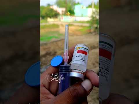 animal tretment #animals