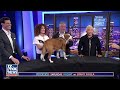 Dog Whisperer shares his secrets to canine success  - 04:40 min - News - Video