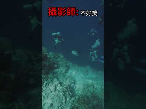 這隻鯊魚覺得嚇攝影師很好玩 🦈#Shorts#極限挑戰 #反轉 #震撼  #生活日常 #搞笑 #鯊魚
