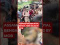 Assam Shocker: Armed Mob Kills Royal Bengal Tiger, Skin, Teeth Removed - 01:05 min - News - Video