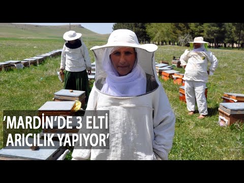 350 Kovanla Arıcılık Yapan 3 Elti Ekonomiye Katkı Sağlıyor