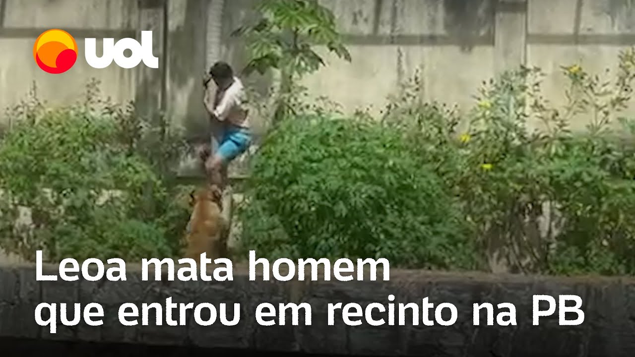 Homem é morto por leoa após invadir seu recinto em parque de João Pessoa; veja vídeo