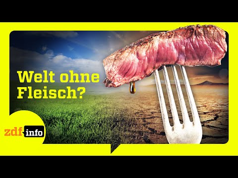 Algen statt Steak: Die Zukunft unserer Ernährung | ZDFinfo Doku