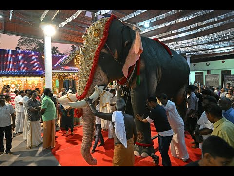 Indian temples adopt 'cruelty-free' robot elephants | AFP