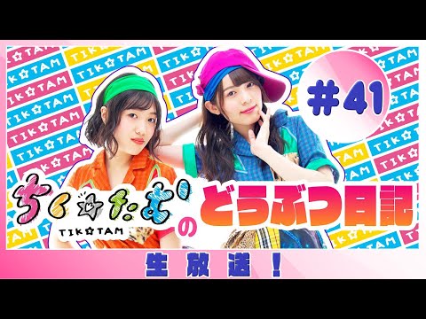 「ちく☆たむのどうぶつ日記 生配信！！」＃41